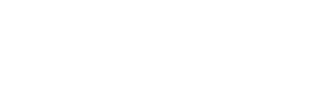 janisdirveiks.com - logo - white